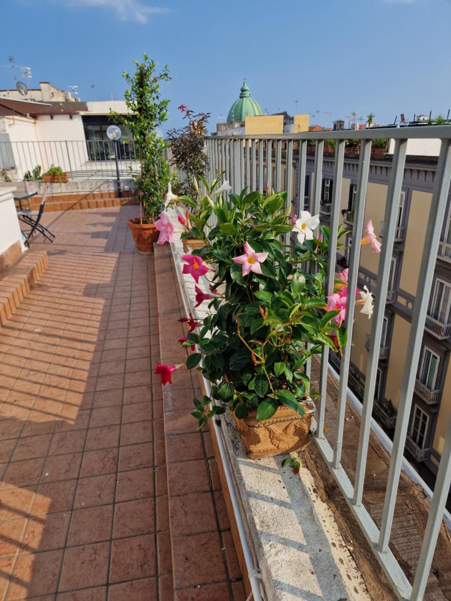 Casa de hóspedes La Terrazza Delle Fate